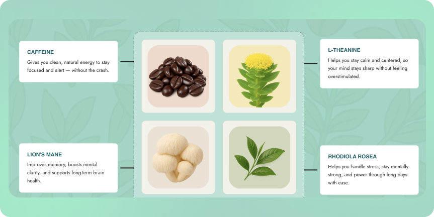 Voke Focus ingredient breakdown graphic